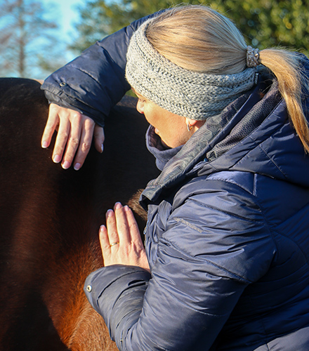 Sarah Ridd | Veterinary Therapist