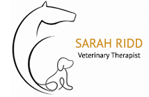 Sarah Ridd | Veterinary Therapist
